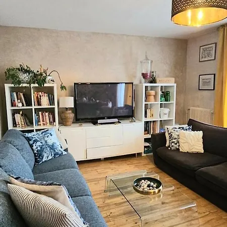 Apartman Family Cathedral View - Private Parking Reims