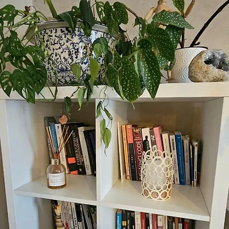 Center Cathedral View *