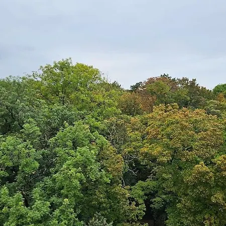 Center Cathedral View Apartman Reims